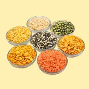 Pulses & Other Grains